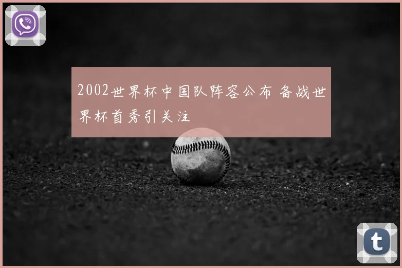 2002世界杯中国队阵容公布 备战世界杯首秀引关注